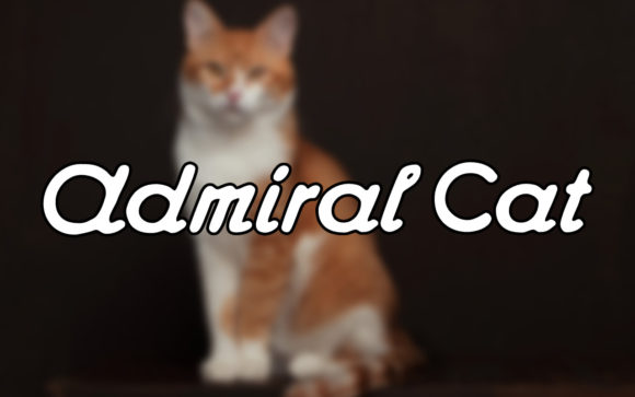 Admiral Cat: A Timeless Handwritten Font for Crafters and Designers