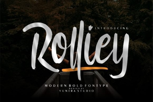 Rolliey: A Bold Script Handwritten Font for Editorial Design